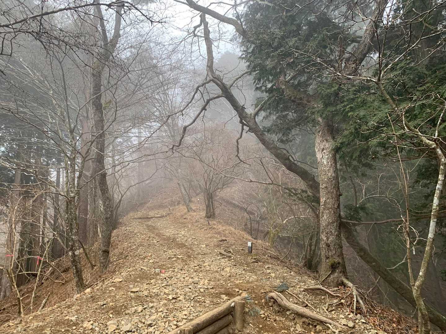蓑毛バス停-大山-ヤビツ峠 周回コースの写真
