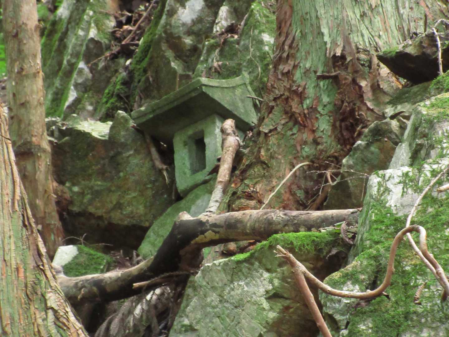 
朝には気付かなかった大山祇神社に拝礼
⛩️👏
