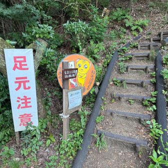 さぁ！行ってみよう♫