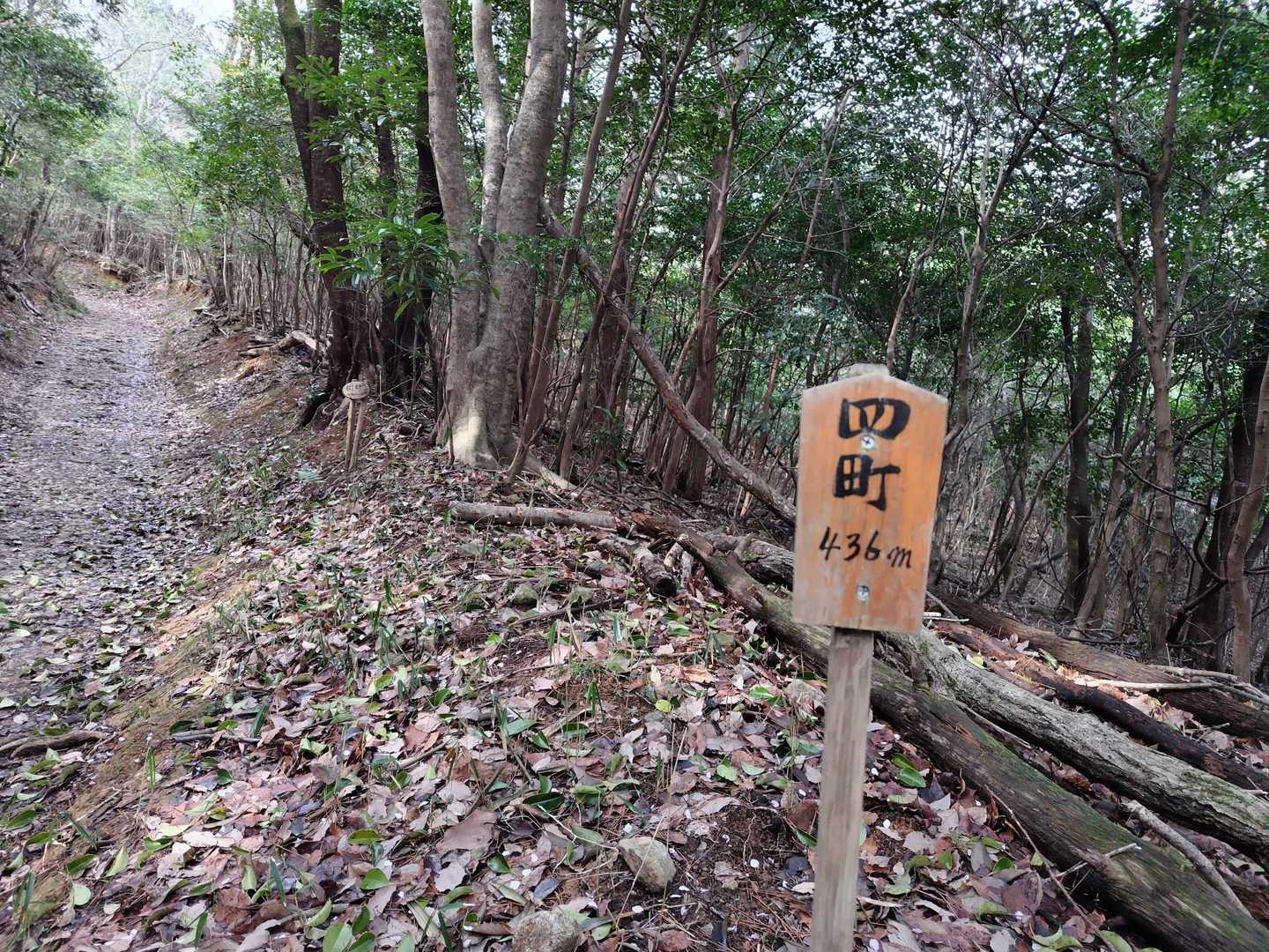 町札が続きます。