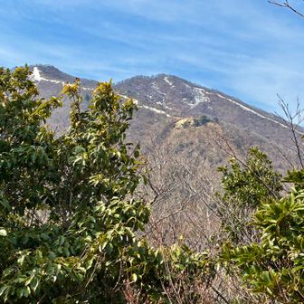 ヤケ山山頂からの眺め

釈迦岳です。