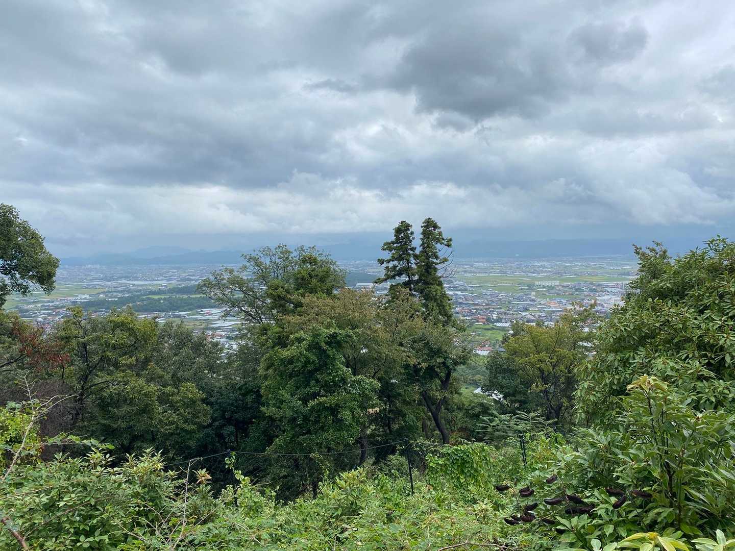 だんだん景色が見えてくる