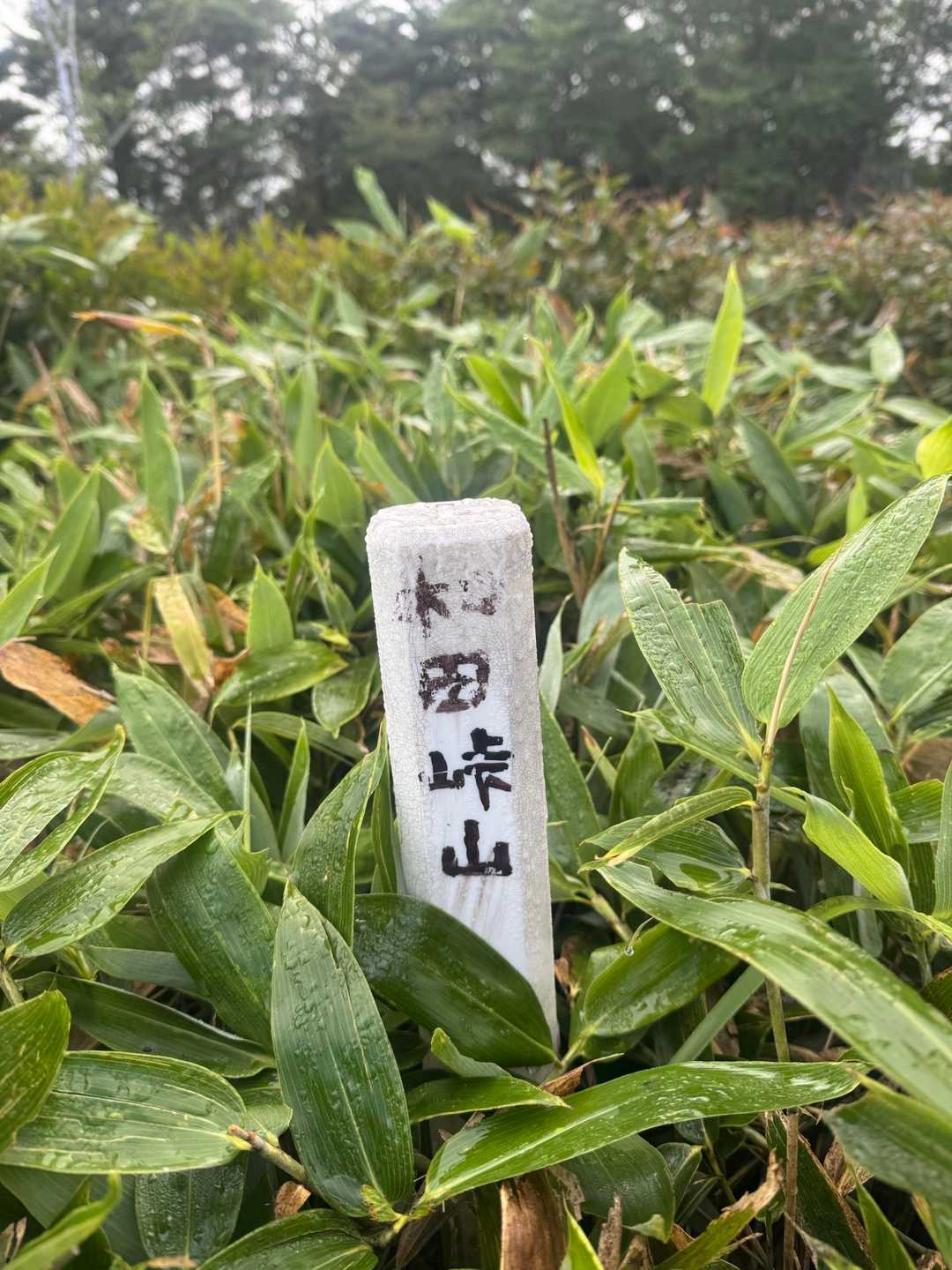 北峰