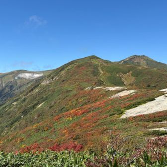 いつか行ける日が来るのだろうかとずーっと思っていた飯豊山⛰️
遠くてキツいイメージ。

思っていた通り、自分の中では色んな意味で難易度ベスト3に入る山となりました。

脚の攣りに悩まされながらも何とかゴール🙌
体力・筋力不足?｡｡衰え?を痛感💦そして反省😅

小屋泊での一期一会の出会いにも感謝✨
テント泊では経験出来ない素敵な時間を過ごすことが出来ました♪

飯豊山⛰️
大きくて深くて。厳しくて美しくて。
大自然の持つ様々な表情を感じられた山でした。

キツかったけど、また必ず行きたいと思う山行となりました。今は達成感に溢れています🥹
とにかく素晴らしかった✨
行ってよかった💕

語彙力なくて悲しくなりますが😅
拙いレポを最後まで読んで下さりありがとうございました🙇‍♀️

おしまい。