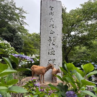 ヤギもいる