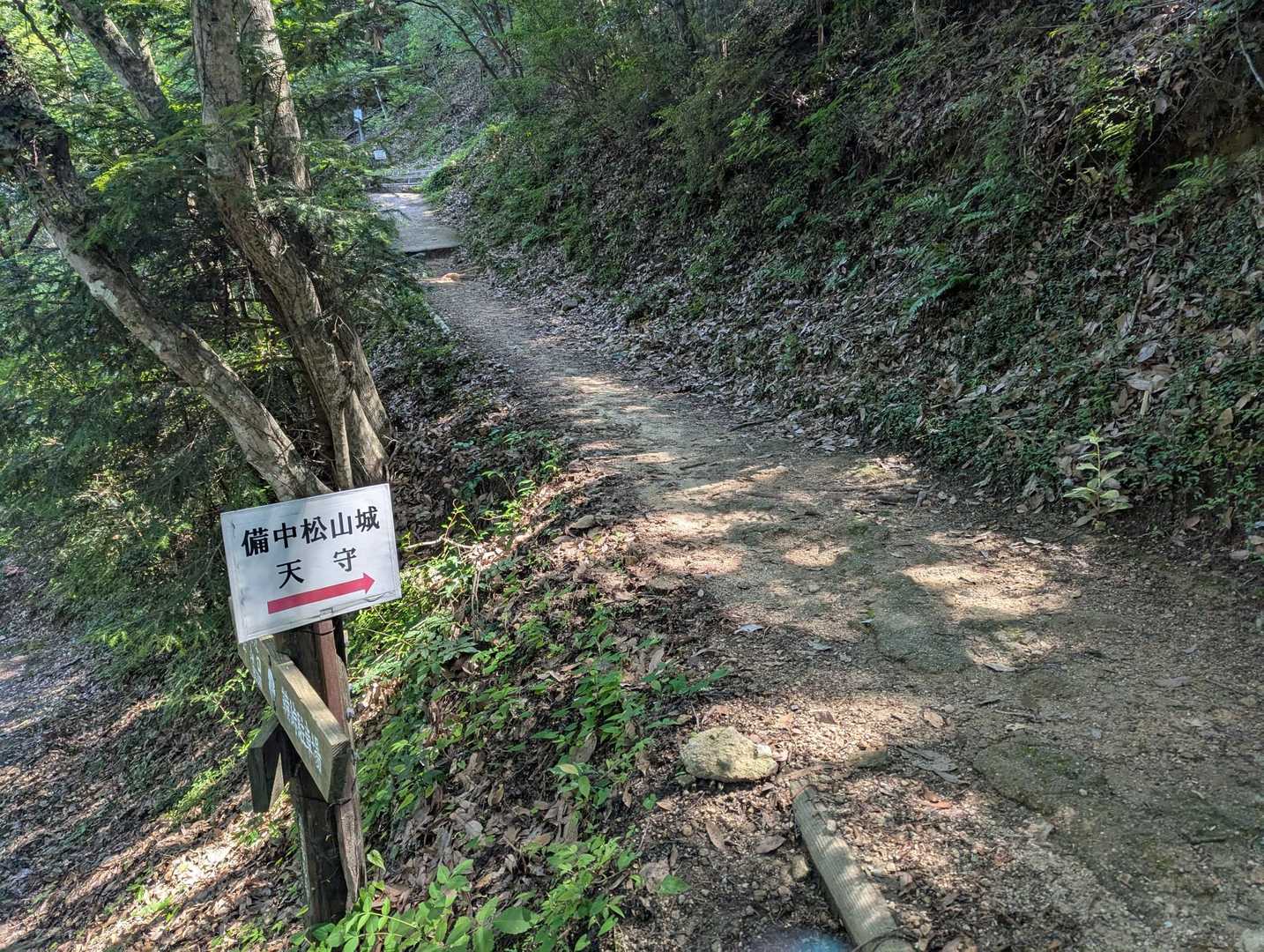 臥牛山 往復コースの写真