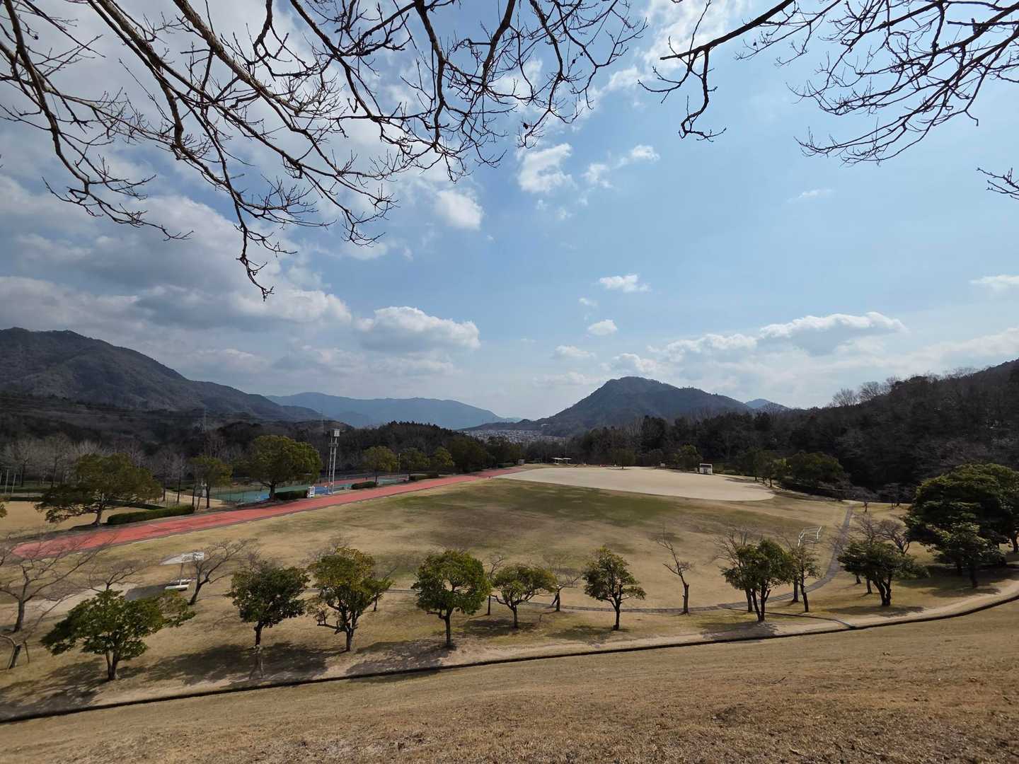 広いね
