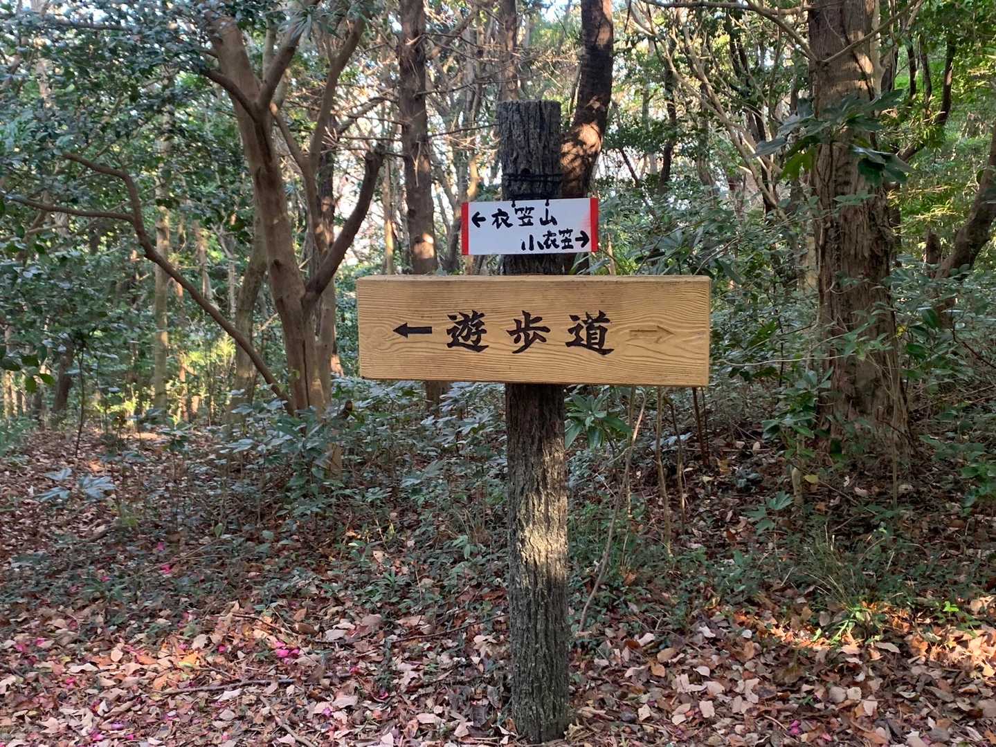 ちょっと小衣笠山に寄り道
