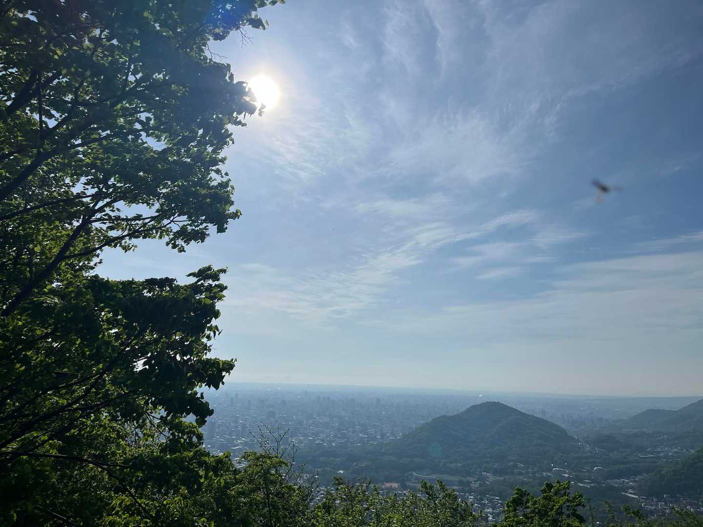ちゃく
いい天気☀️
冥王の応援団☁️が来ないなぁ🤔
塩丸行っちゃったかな？