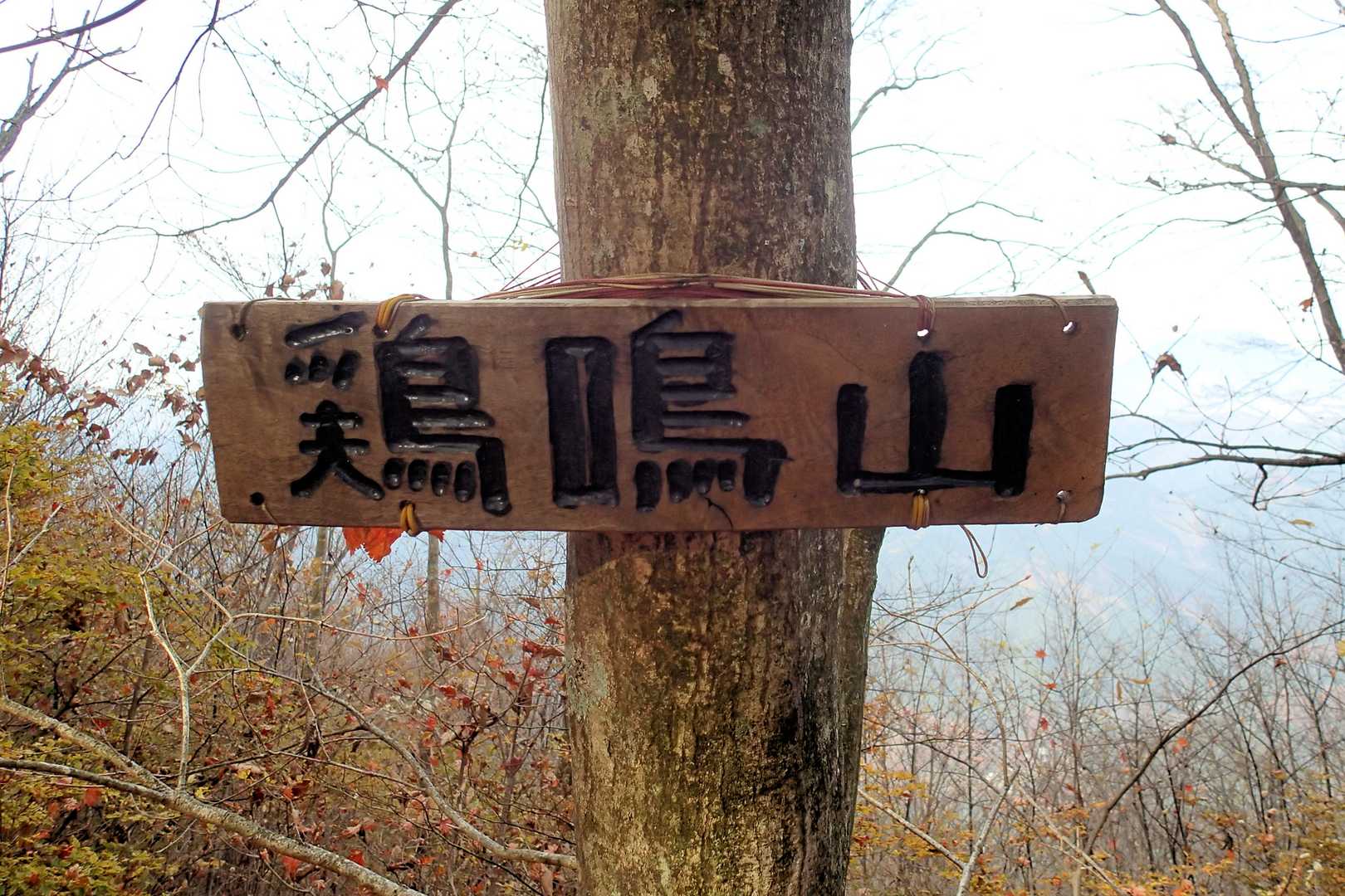 実際の山頂より5分手前にアル銘板
これを信じちゃ…ダメよ駄目だめぇぇ💨