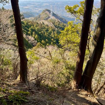 急騰の下り続きで足下ばかり見ていて
周りを見るゆとりがなかったが
ちょっと開けて

