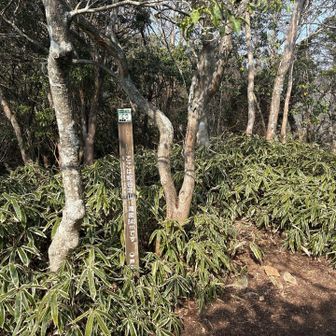 蛇谷北山の標識、他になにもない