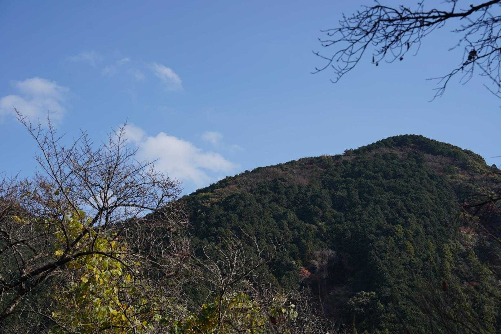 大目配登山口-大目配-薬王寺峠-京王山-鬼王山-妙見山 周回コースの写真