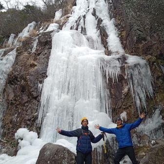 ねばだずひらい