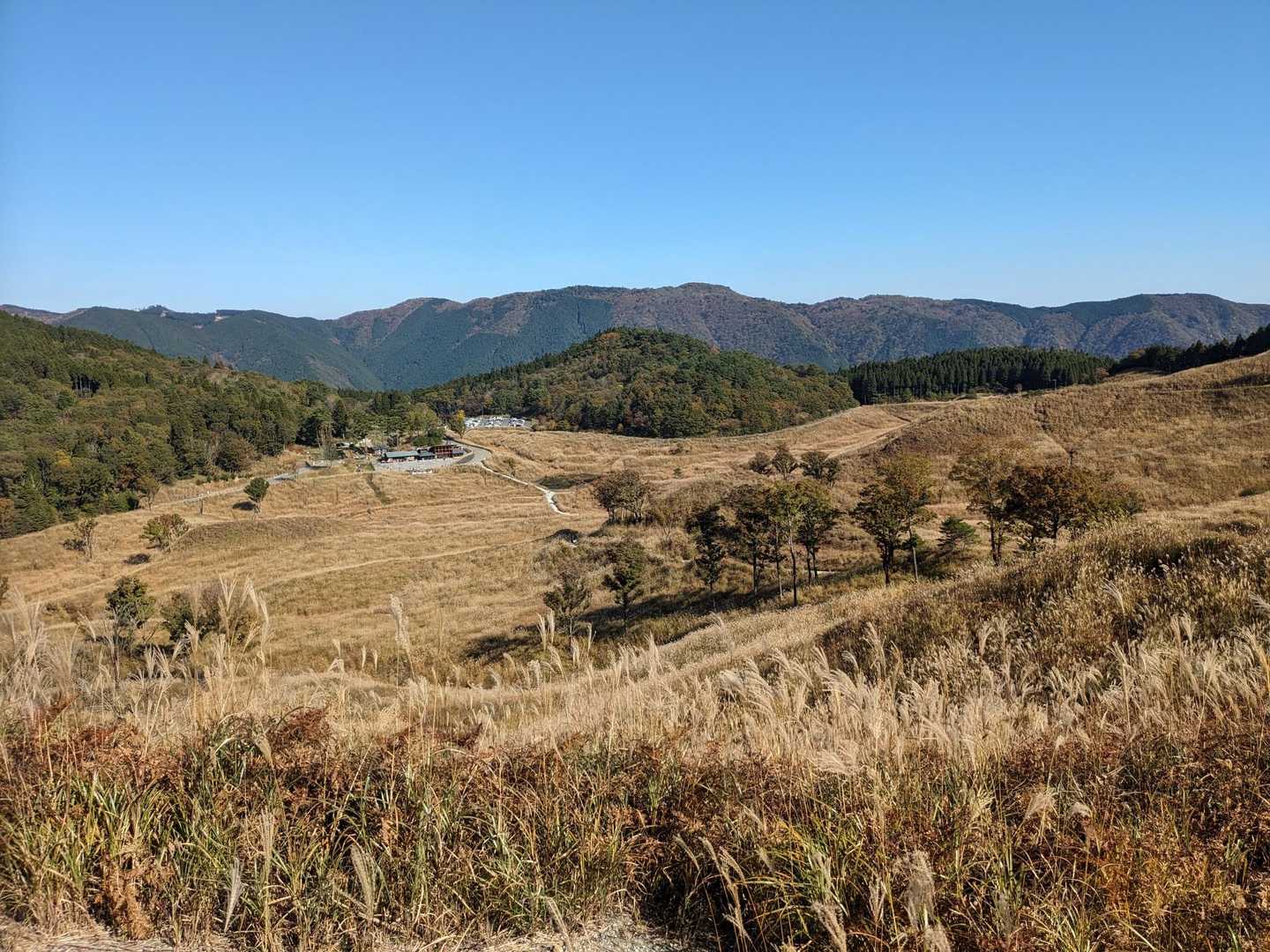 峰山高原バス停-峰山-峰山口-砥峰高原ハイキングコース入口 往復コースの写真