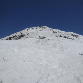 山頂を見上げると空の青さが濃くて感動💙