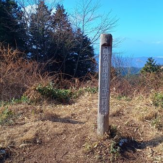 頂上は人も多く、ベンチは空いていませんでした