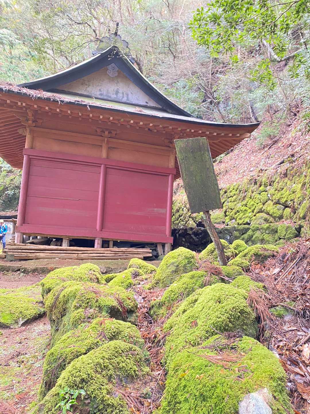 愛宕堂の石も苔苔