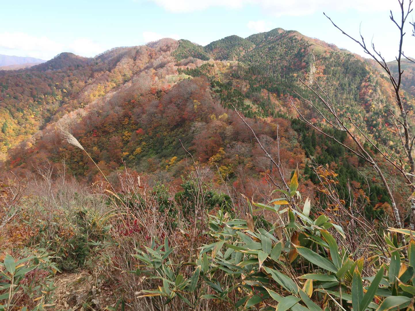 桧尾峠から4分後。冠山峠に向かう途中。まだあと5つの峰を越えねば。