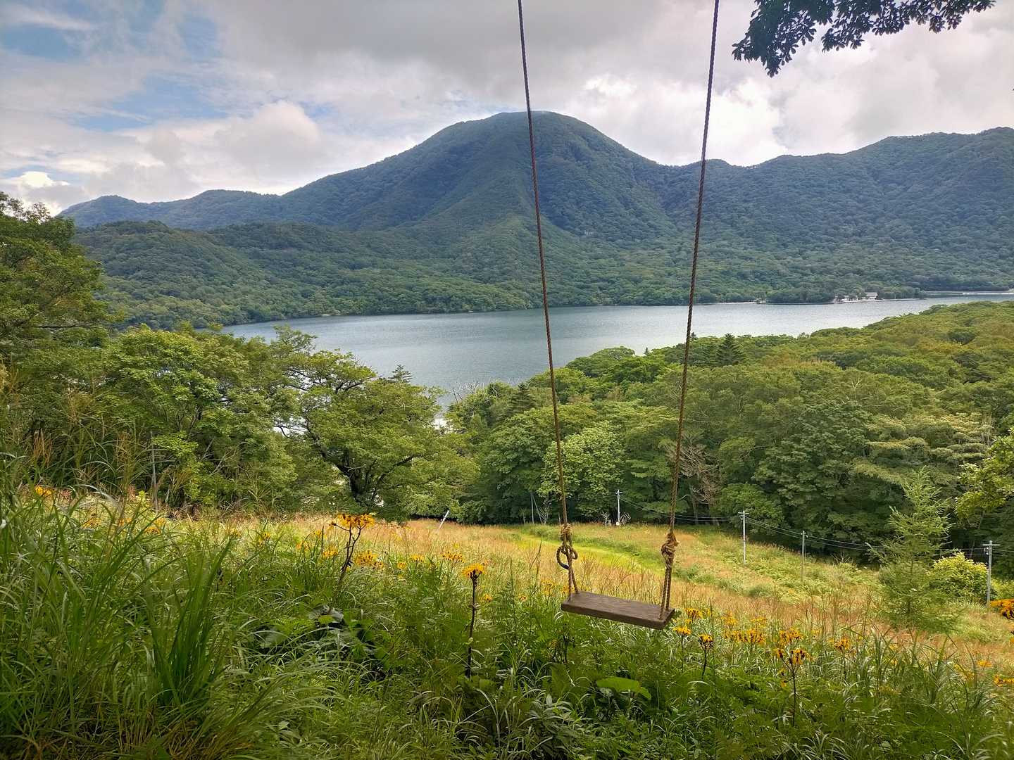 ハイジブランコ
乗らなかったけど、気持ちよさそう