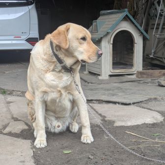天狗温泉の看板犬にご挨拶してから出発します♥
