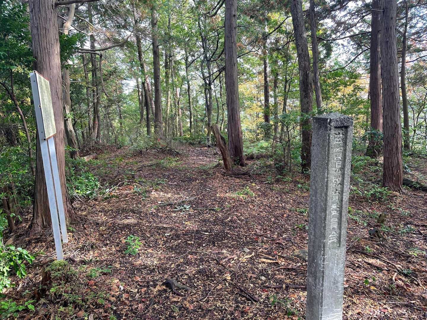 YAMAP上の正楽寺ピークはここでしたが、山名板はなし💦
