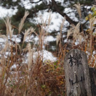 くぬぎ山
手書きの標識、味があっていいよね笑