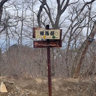 とうちゃーく！