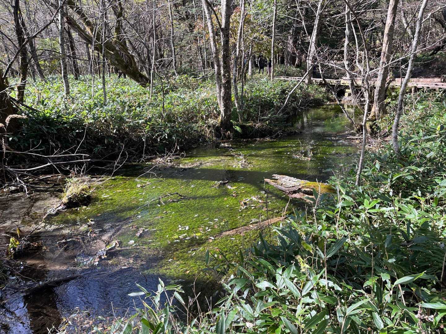 大正池バス停-大正池-大正池-田代池-上高地西穂高岳登山口 縦走コースの写真