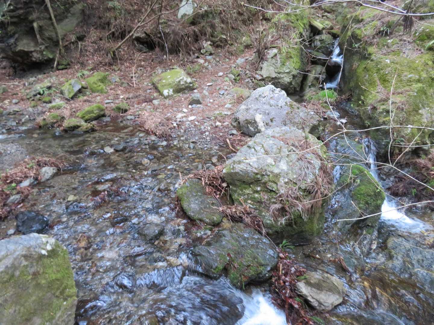 林道終点から山道へ。渡渉は水量あるも問題なし。