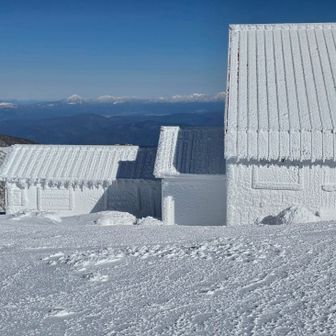 小屋はペンキを塗ったように真っ白