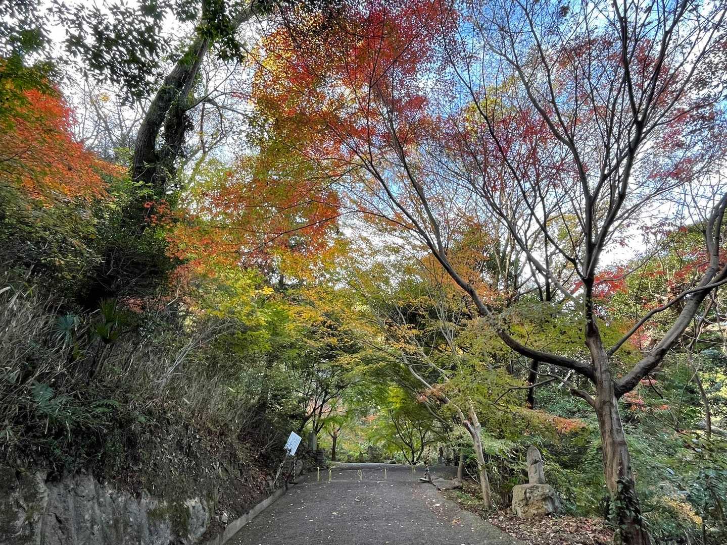出釈迦寺-奥の院禅定参道口-出釈迦寺奥の院 往復コースの写真