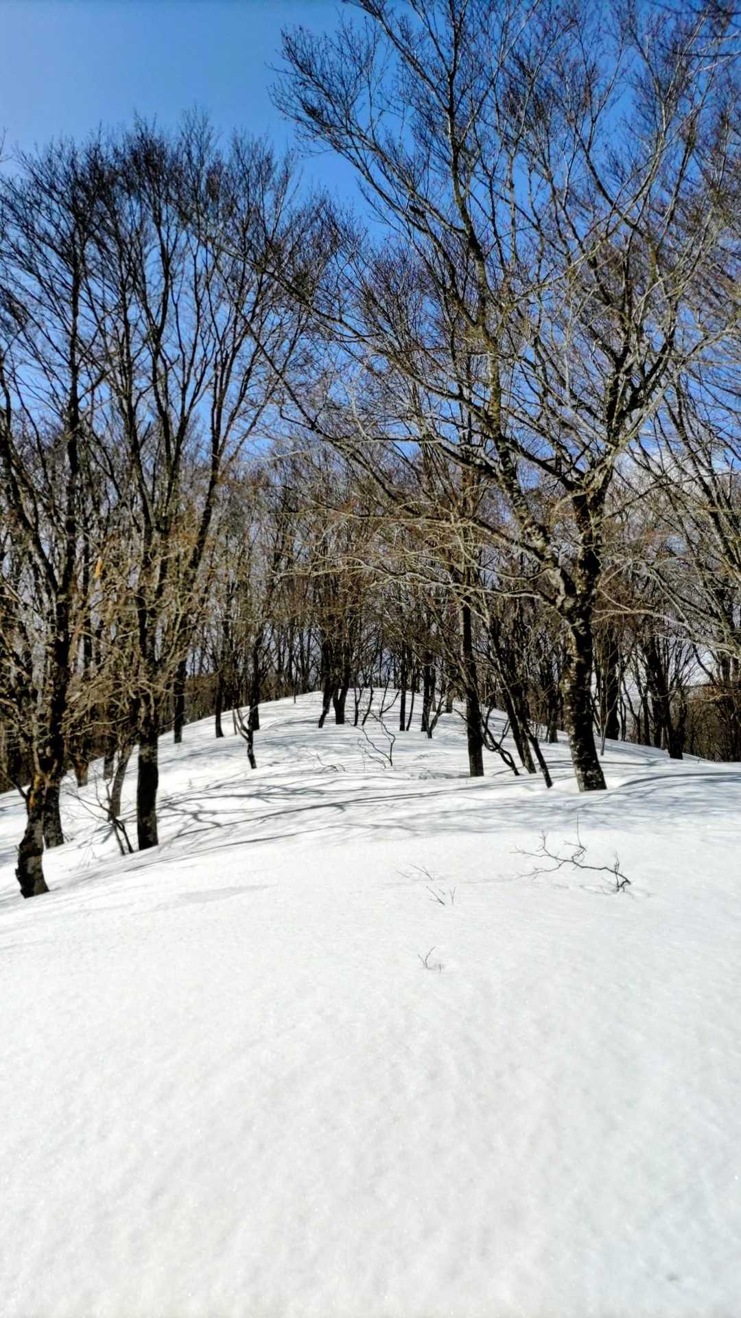 この辺は風の影響もなく、気持ち良い