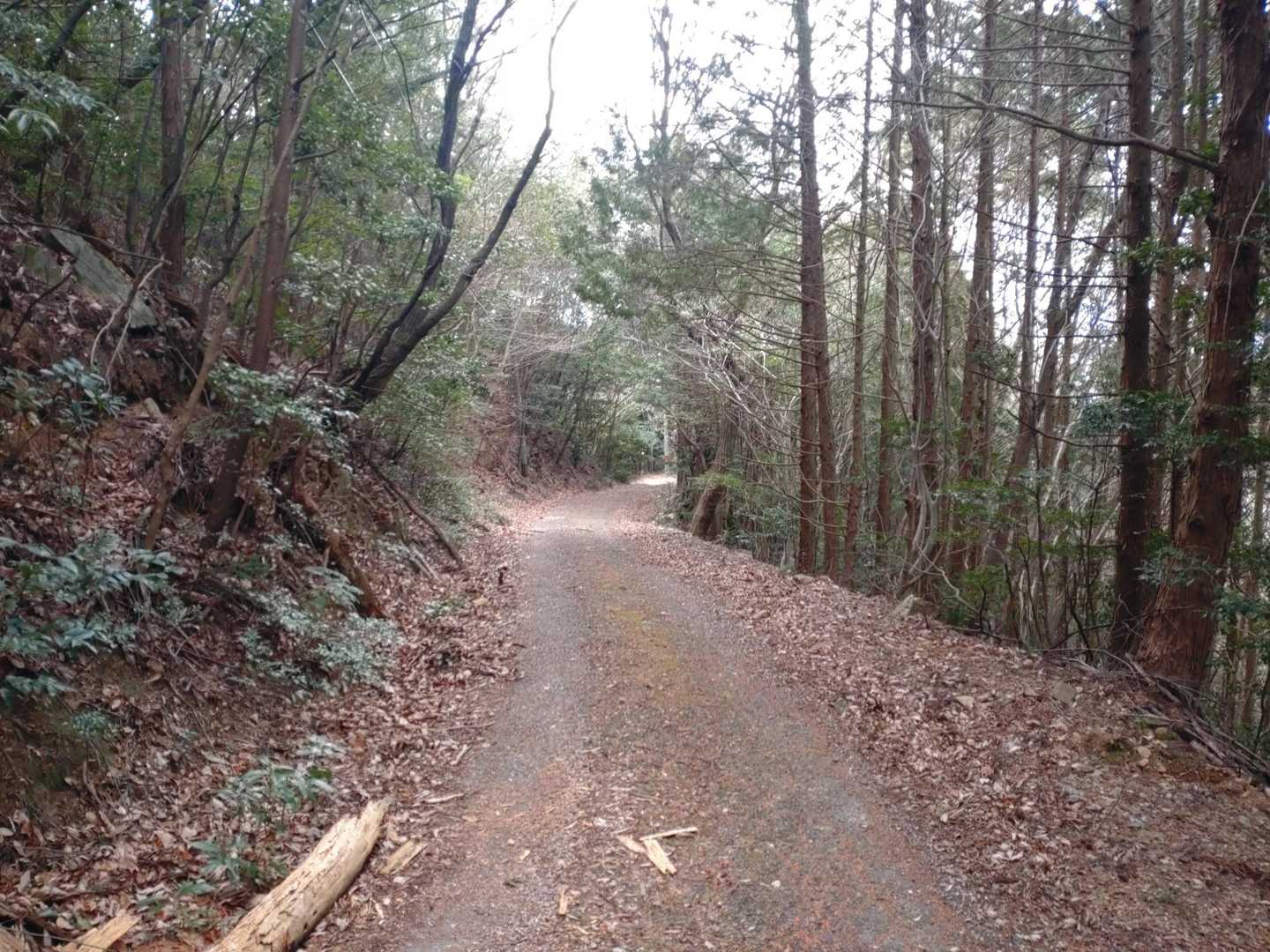 下山は車道を下ります。
一応舗装した道で、登山中に車１台と出合いました。