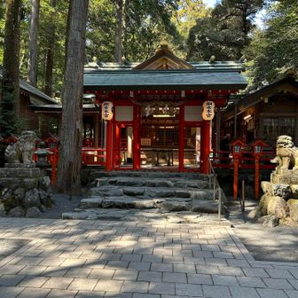 椿大神社へ