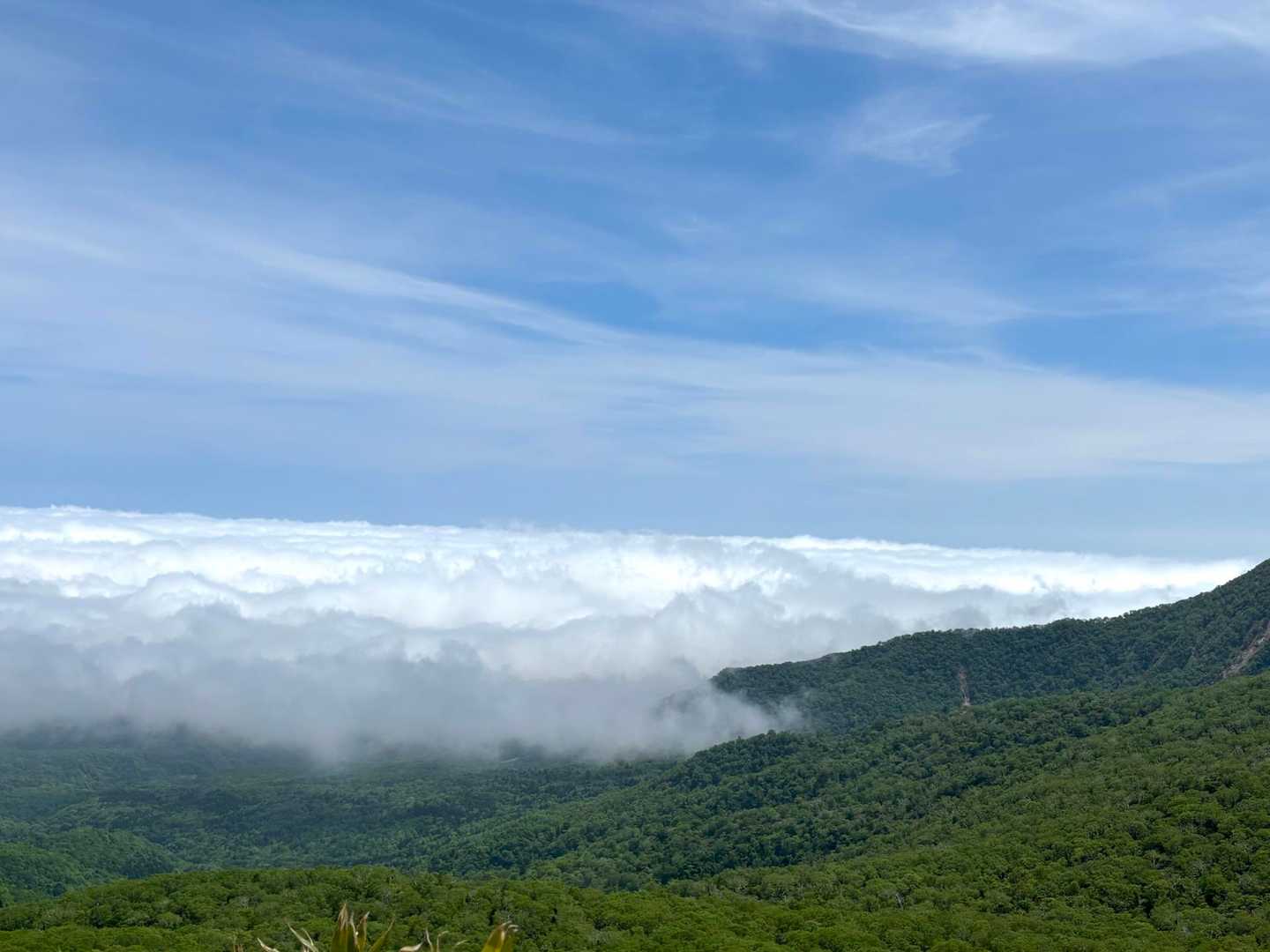 オロフレ峠-化物山 往復コースの写真