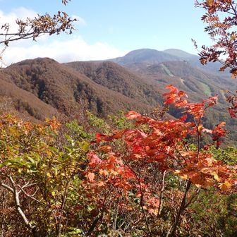 鳥兜山から来た道の振り返り