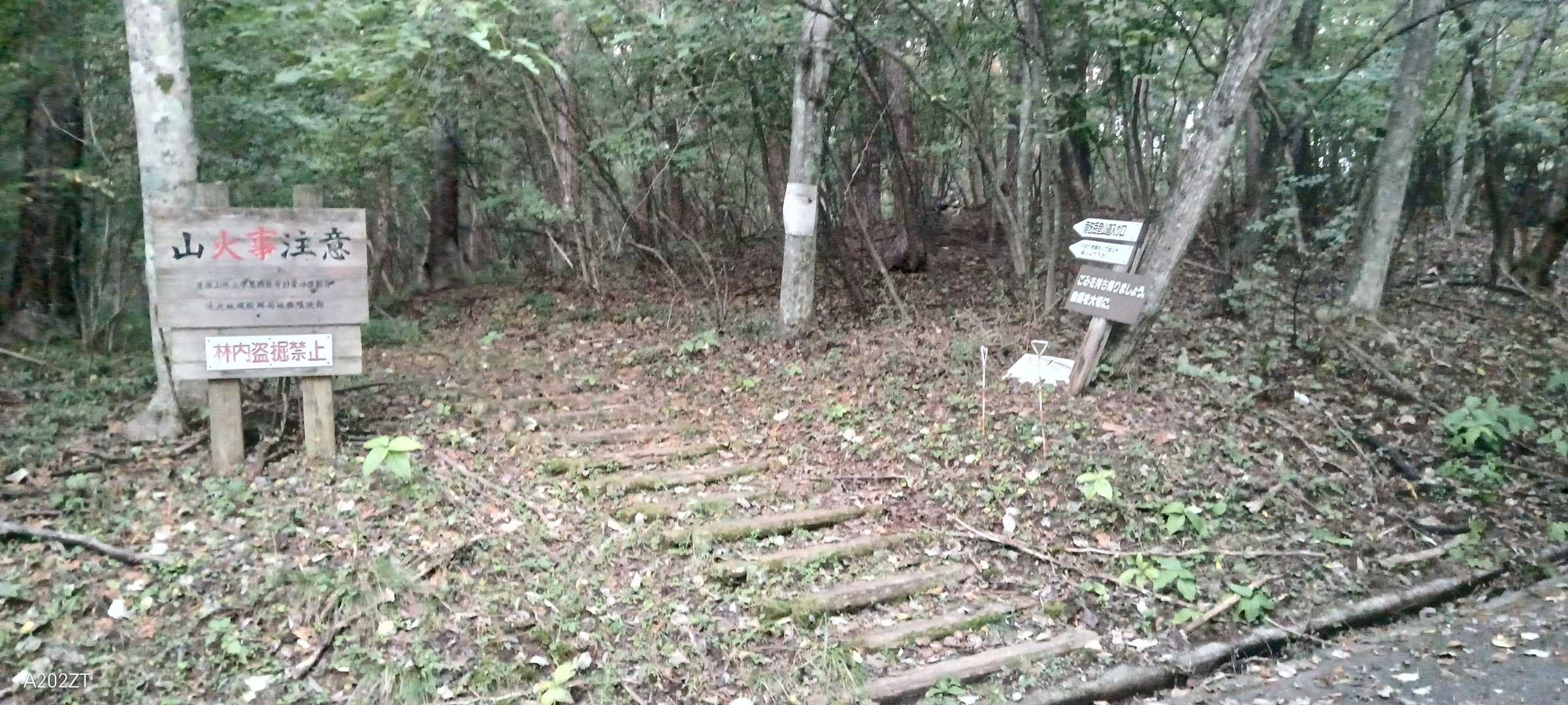 登山口