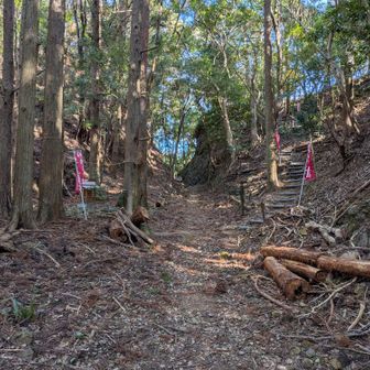 駿田峠のピークです