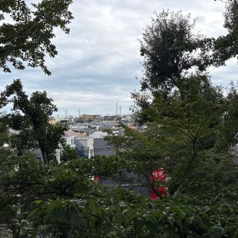 山頂より。木々が伸び過ぎ。