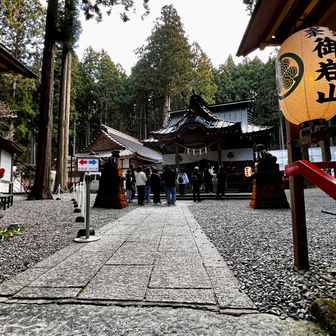 大勢の人が参拝しています