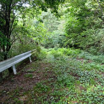 往路、ドコモ子持無線中継所。
分岐、天文台へ。車道?　今は随分荒れています。