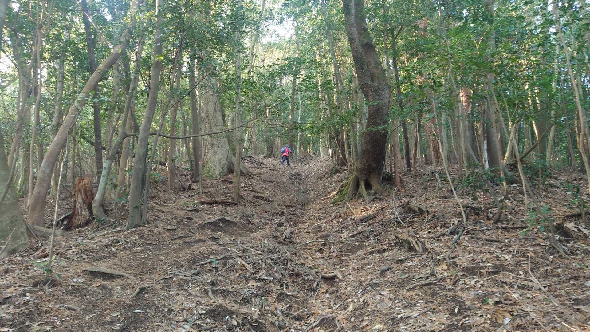生駒登山口-夷守岳 往復コースの写真