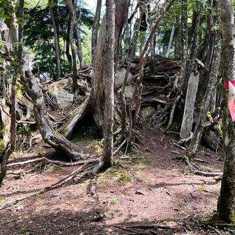 毛無山の最高地点？