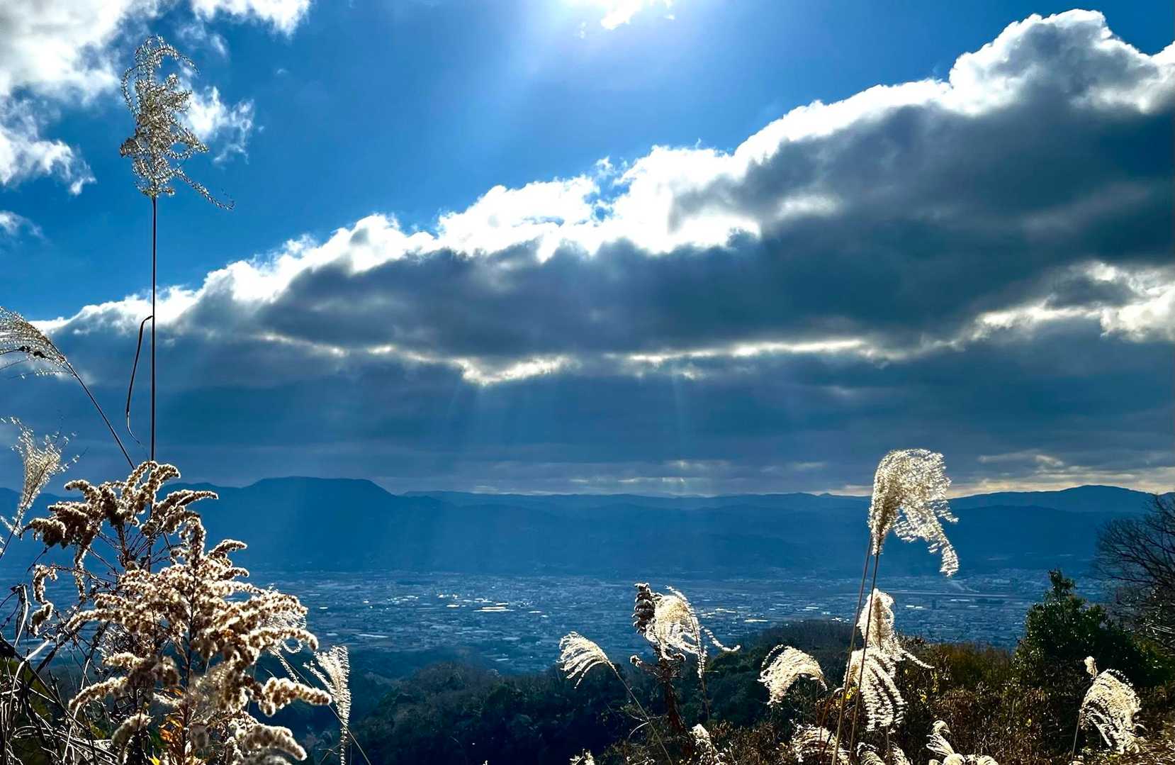 土仏峠-上朽仏山登山口-上朽仏山 往復コースの写真