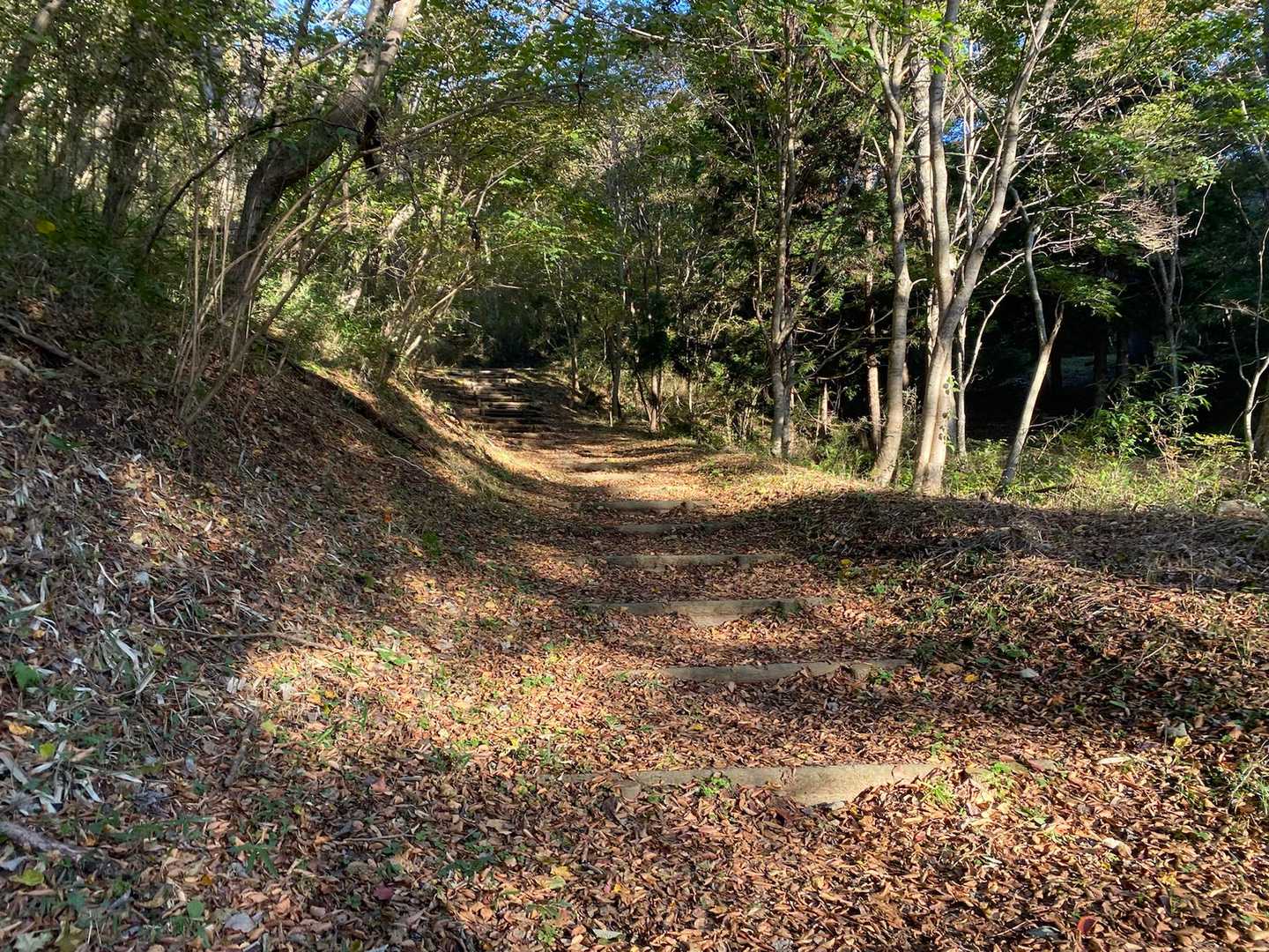 前を見ても後ろを見ても誰もいない登山道。
自然を満喫できる素晴らしいひととき☺️