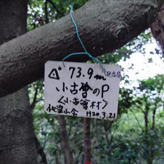 見当山🙌
ここに来る間墓地を通って来ました
晴れだと墓地も軽快に歩けるかも…🤭