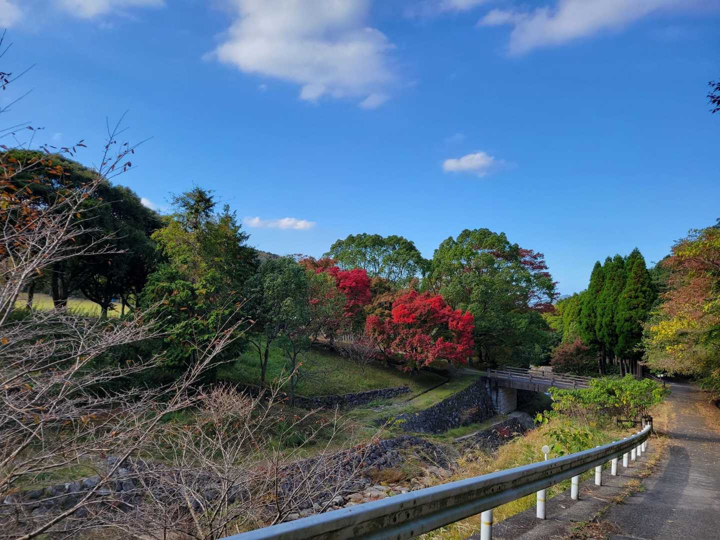 叶岳登山口-叶岳 周回コースの写真