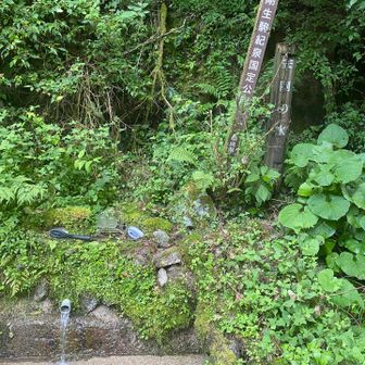 金剛の水
冷たくておいしかった！