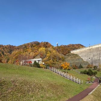 体育の日、改めスポーツの日⚾️⚽️
小天狗山で、もみじ狩り🍁